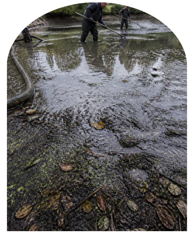 Очистка пруда в Рассказове от ила мусора и водорослей с вывозом